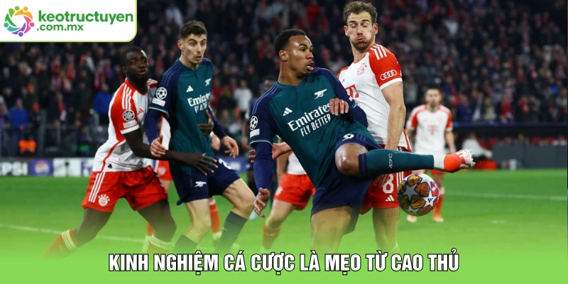 Kinh nghiệm cá cược là mẹo từ cao thủ