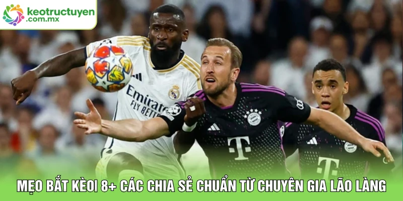 Mẹo Bắt Kèo| 8+ Các Chia Sẻ Chuẩn Từ Chuyên Gia Lão Làng