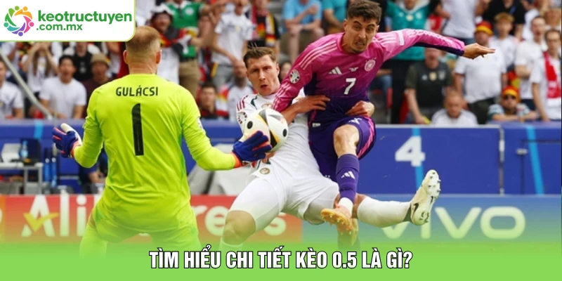 Tìm hiểu chi tiết kèo 0.5 là gì?